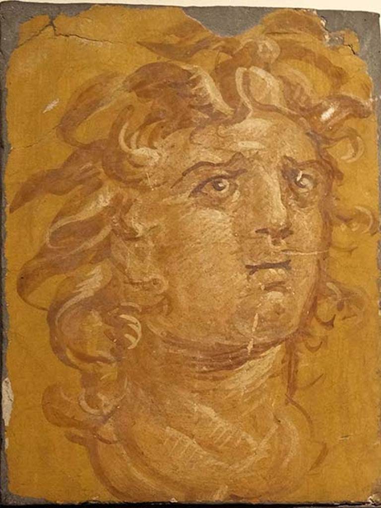 Villa dei Papiri, Herculaneum or a house in the vicinity of the Herculaneum Theatre.
Second fresco of head of Medusa, with wild hair and wings sprouting from the forehead.
Now in Naples Archaeological Museum.